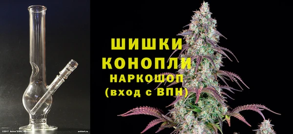 крисы Балахна