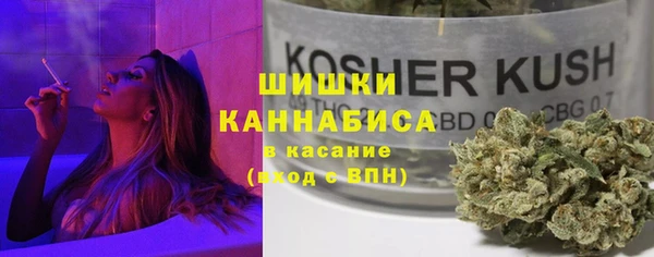 крисы Балахна