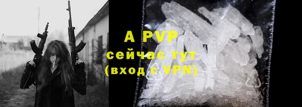 крисы Балахна