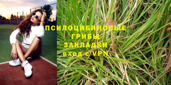 крисы Балахна