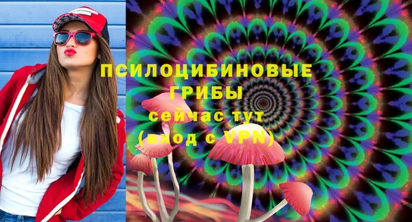 крисы Балахна